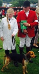 Great Yorkshire Show 2015
